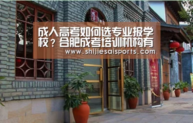 成人高考如何选专业报学校？合肥成考培训机构有哪些？：全球总决赛官网